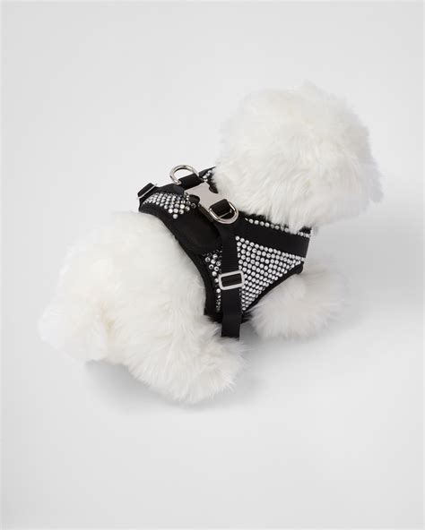 prada dog harness.